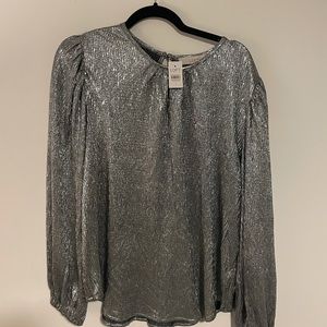 Long sleeve silver blouse